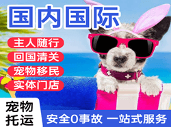 白莲机场空运国际宠物托运 【国